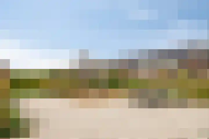 De Boerenkermis 34 Dronten thumbnail 35