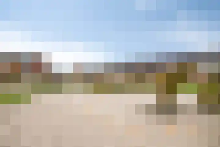 De Boerenkermis 34 Dronten thumbnail 36