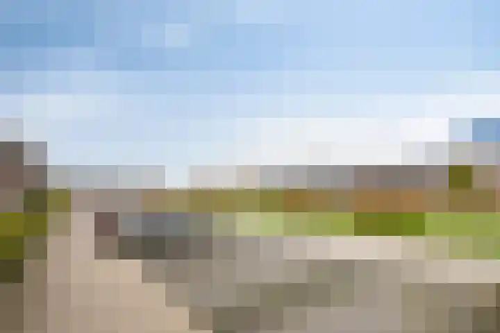 De Boerenkermis 34 Dronten thumbnail 38