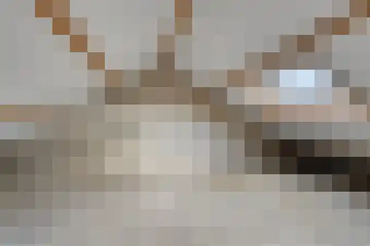 de Boerenmaat 22 Haaksbergen thumbnail 29
