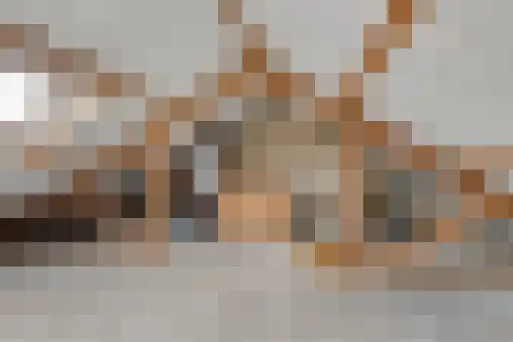 de Boerenmaat 22 Haaksbergen thumbnail 30