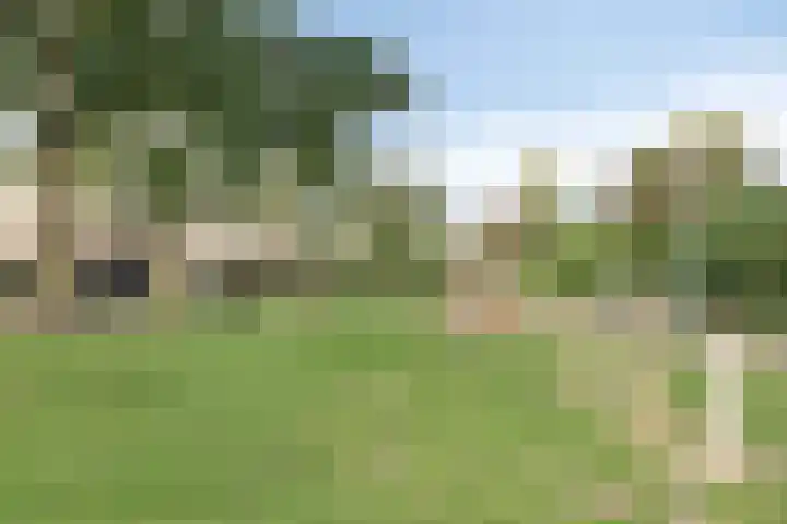 de Boerenmaat 22 Haaksbergen thumbnail 33