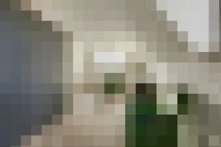 de Boerenmaat 52 Haaksbergen thumbnail 22