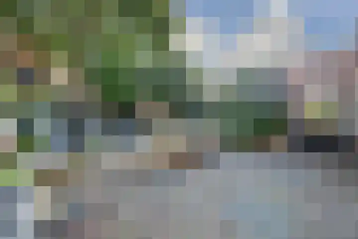 de Boerenmaat 52 Haaksbergen thumbnail 30