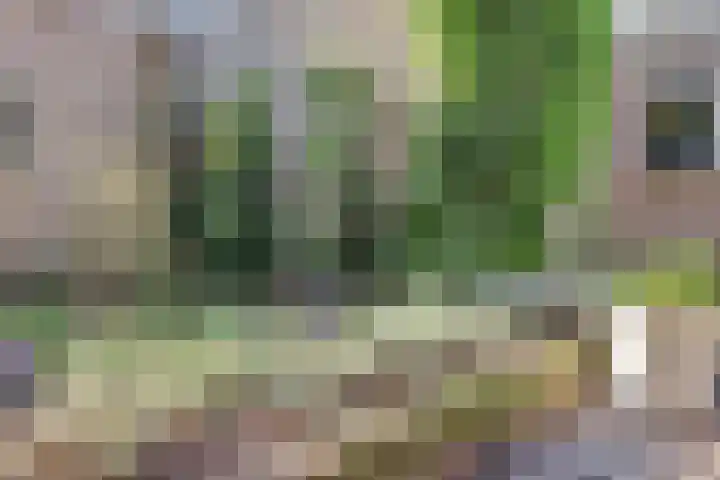 de Boerenmaat 52 Haaksbergen thumbnail 33