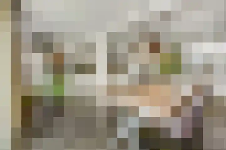 de Boerenmaat 52 Haaksbergen thumbnail 7