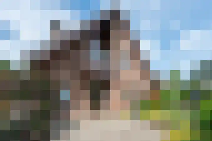 De Boerhoorn 1 Emmen thumbnail 29