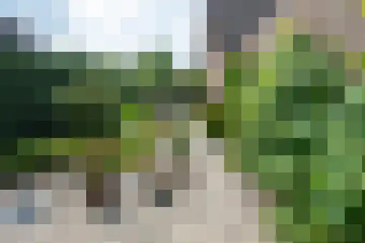 De Boerhoorn 1 Emmen thumbnail 31