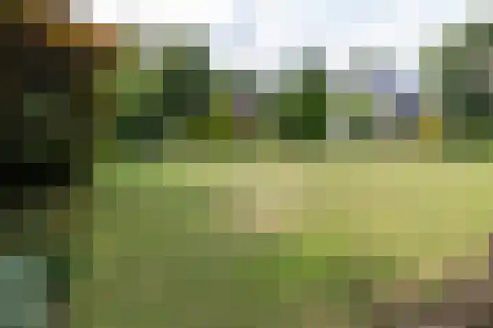De Boerhoorn 1 Emmen thumbnail 32