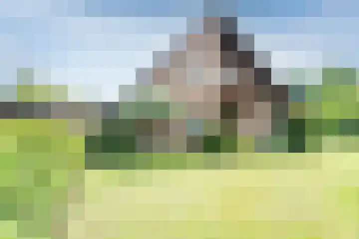 De Boerhoorn 1 Emmen thumbnail 34