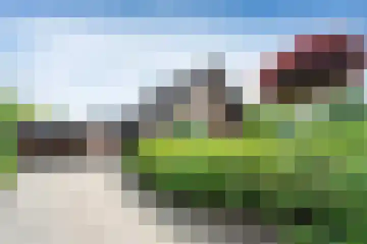 De Boerhoorn 1 Emmen thumbnail 37