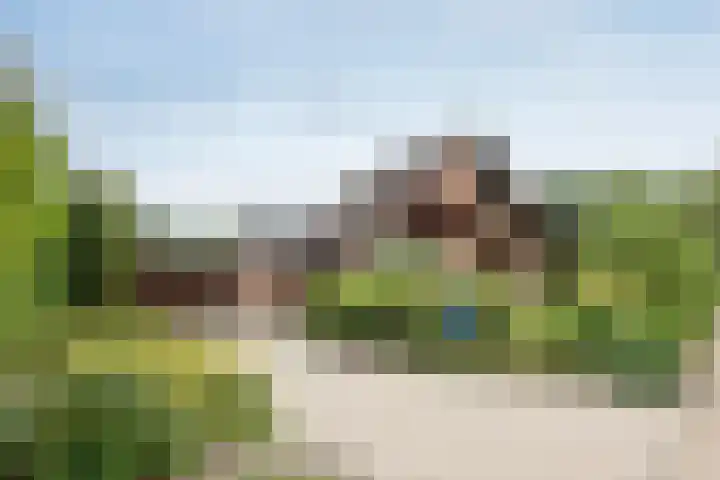 De Boerhoorn 1 Emmen thumbnail 38