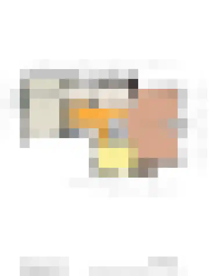 De Boerhoorn 1 Emmen thumbnail 42