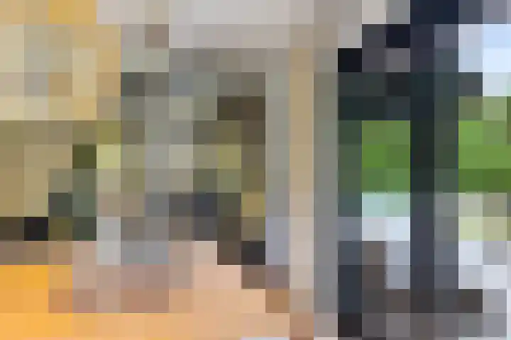De Boerhoorn 8 Emmen thumbnail 17