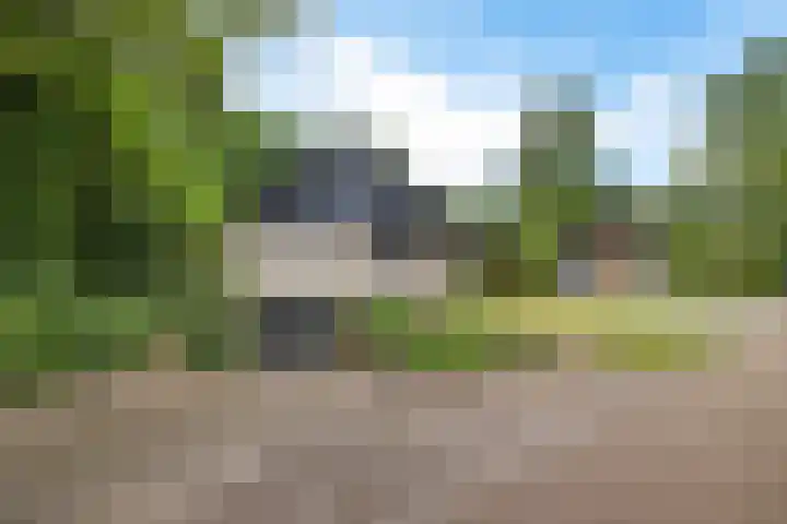 De Boerhoorn 8 Emmen thumbnail 4