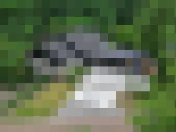 De Boerhoorn 8 Emmen thumbnail 5