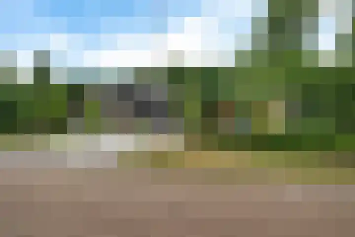 De Boerhoorn 8 Emmen thumbnail 6