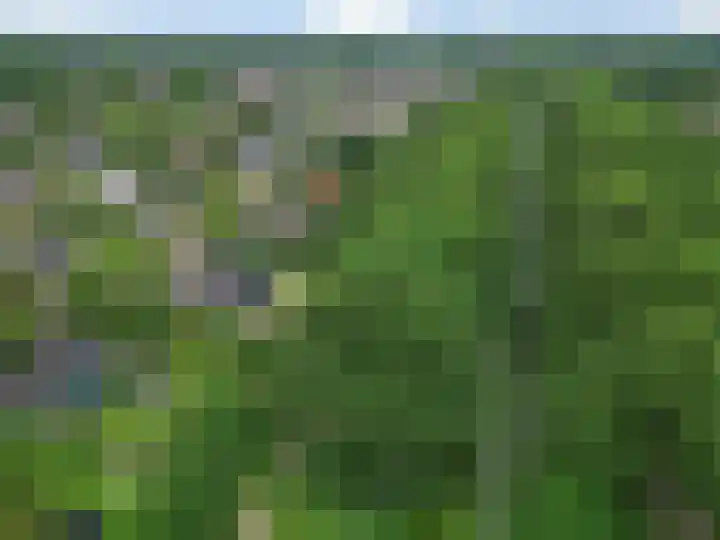 De Boerhoorn 8 Emmen thumbnail 64