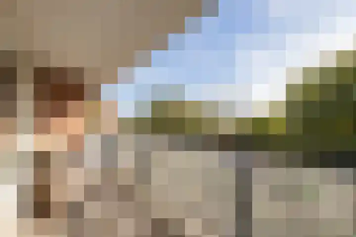 De Boerstraat 100 Poeldijk thumbnail 17