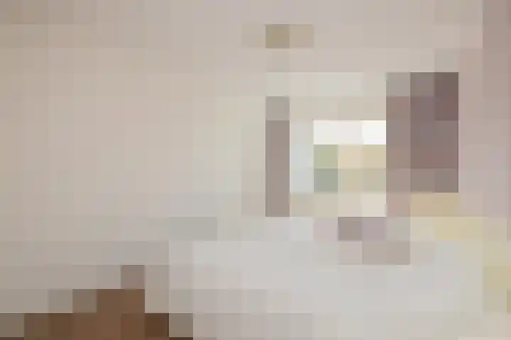 De Boerstraat 100 Poeldijk thumbnail 22