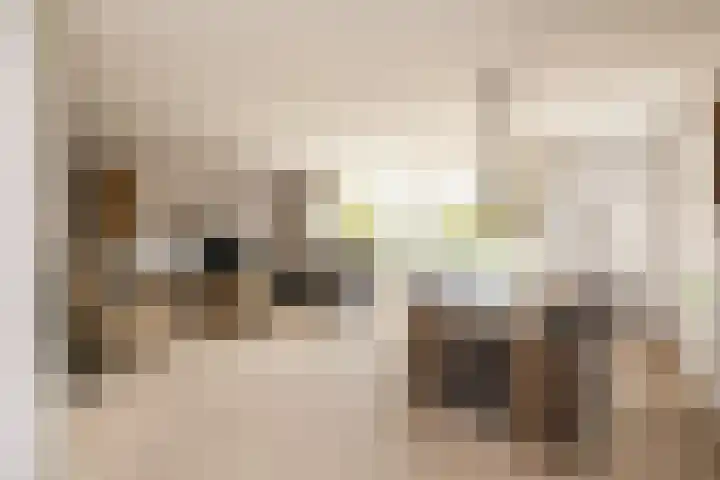 De Boerstraat 100 Poeldijk thumbnail 8