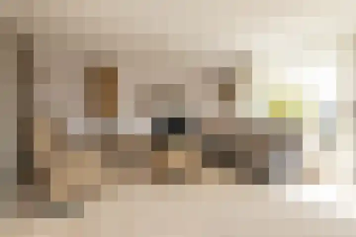De Boerstraat 100 Poeldijk thumbnail 9