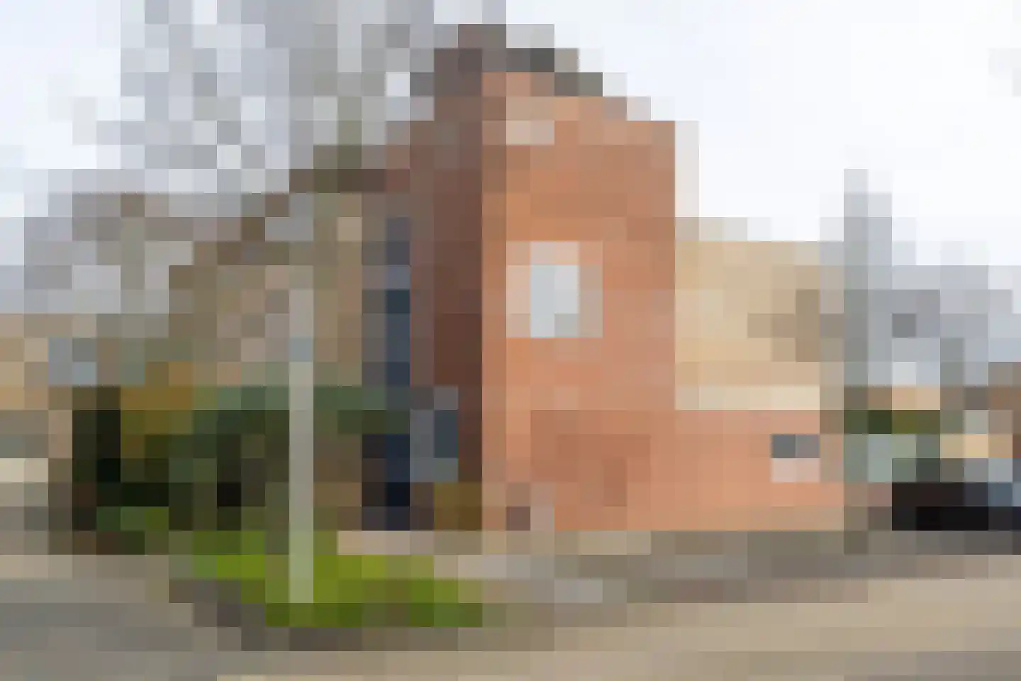 De Boerstraat 38 Poeldijk