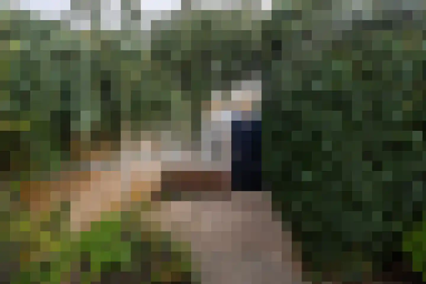 De Boerstraat 38 Poeldijk thumbnail 12