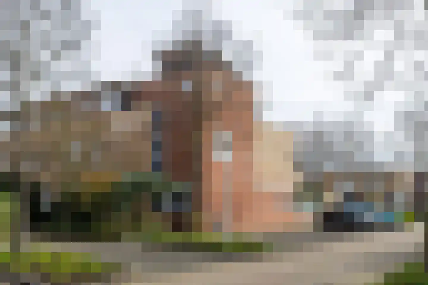 De Boerstraat 38 Poeldijk thumbnail 35