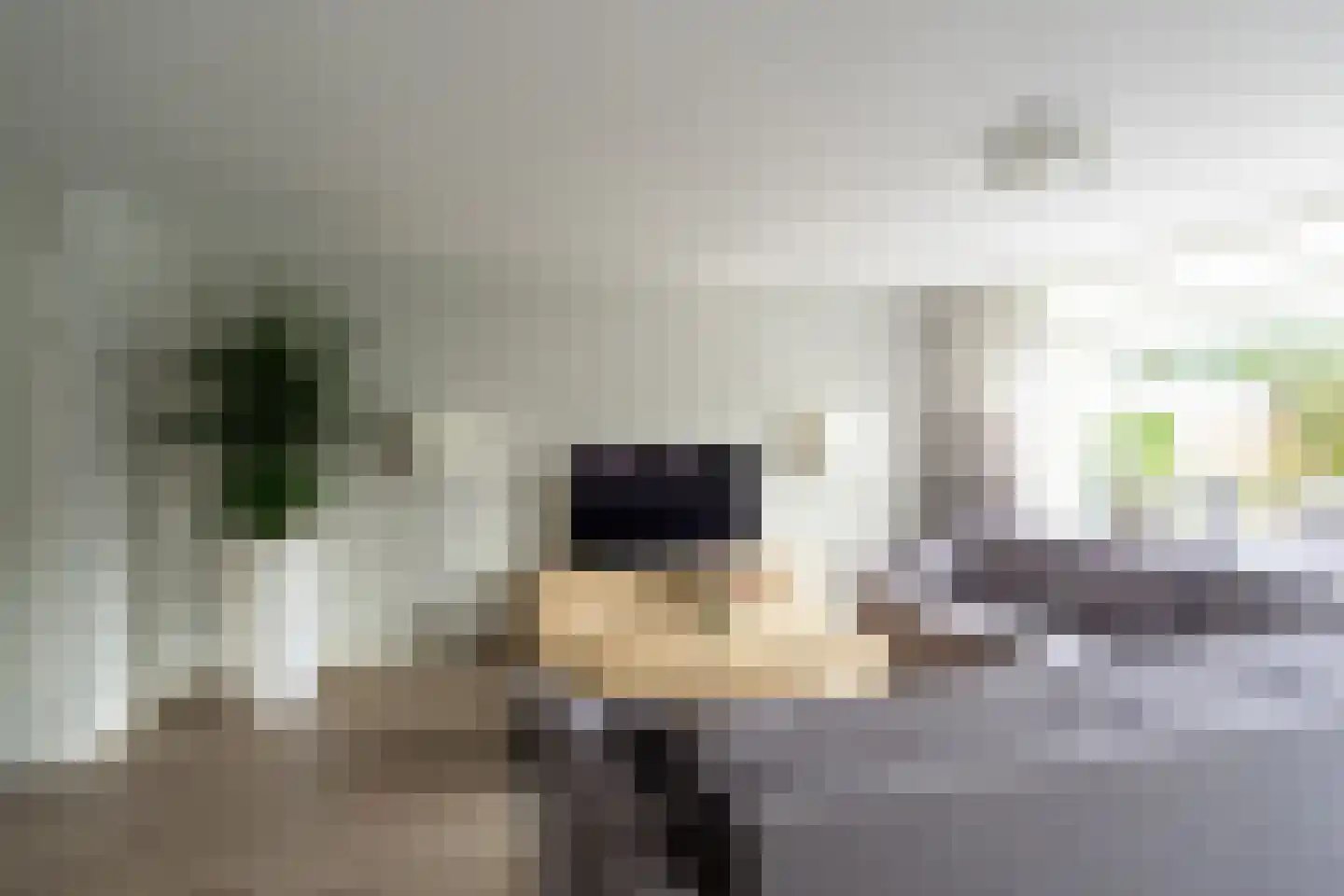 De Boerstraat 38 Poeldijk thumbnail 4