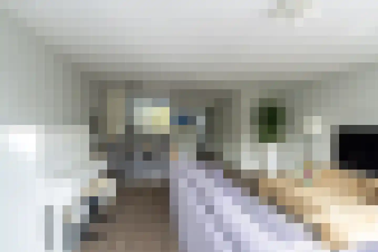 De Boerstraat 38 Poeldijk thumbnail 5
