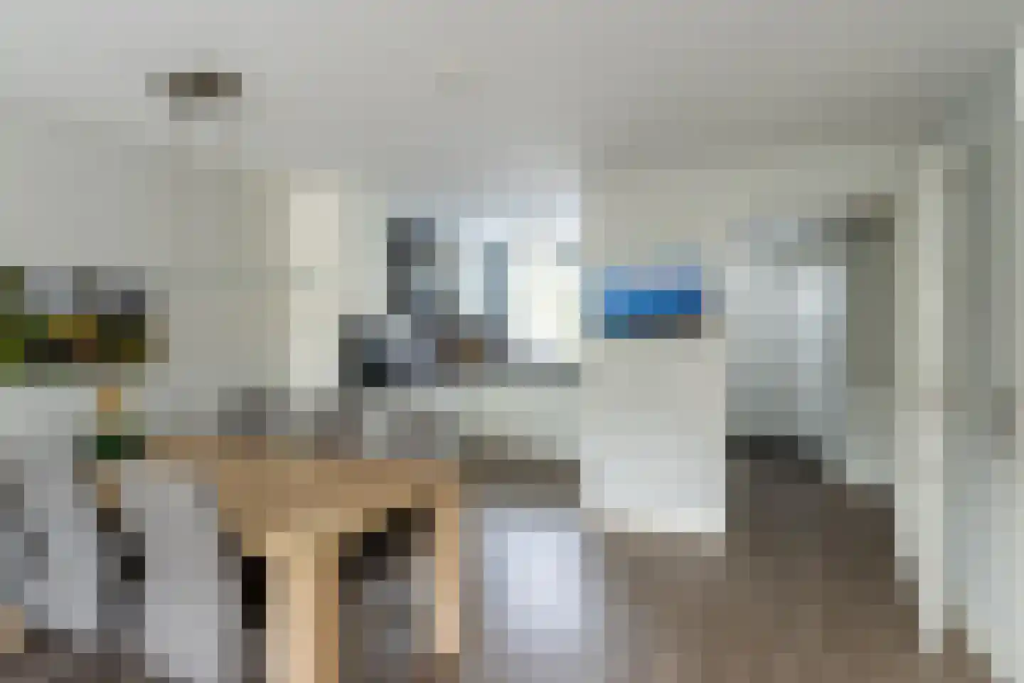 De Boerstraat 38 Poeldijk thumbnail 6
