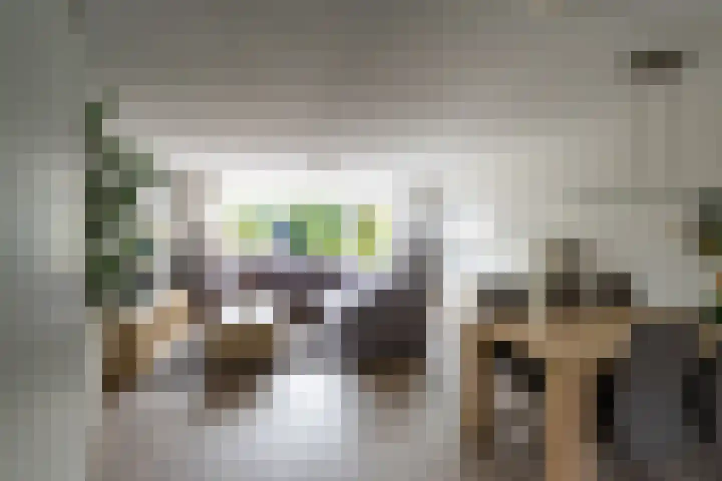 De Boerstraat 38 Poeldijk thumbnail 9