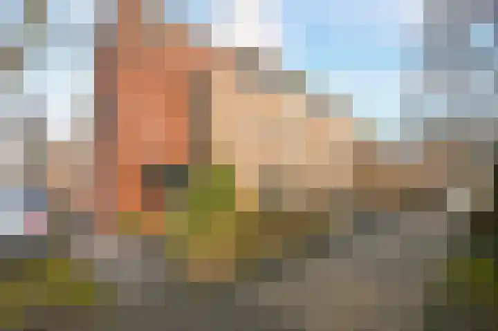 De Boerstraat 52 Poeldijk thumbnail 44