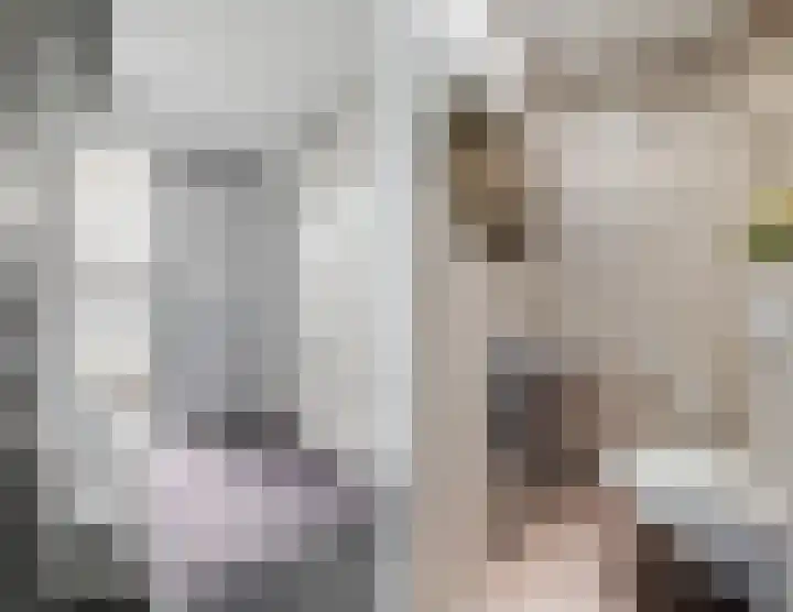 De Boeten 20 Hollandscheveld thumbnail 12