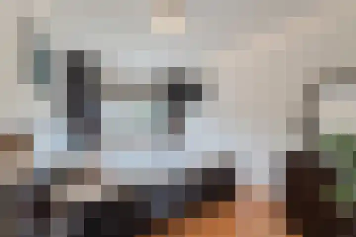 De Boeten 20 Hollandscheveld thumbnail 13