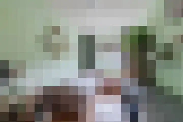 De Boeten 20 Hollandscheveld thumbnail 18