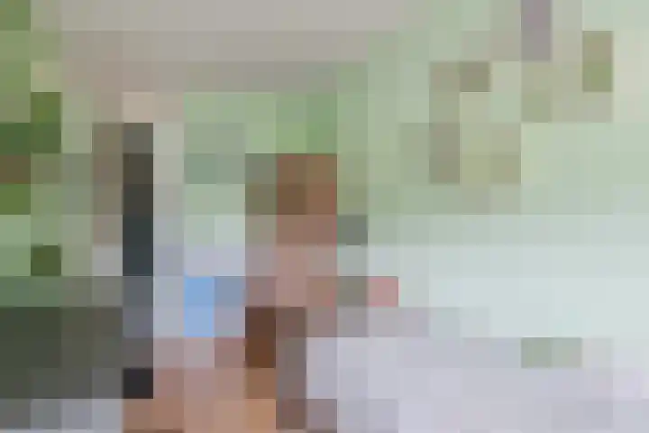 De Boeten 20 Hollandscheveld thumbnail 19