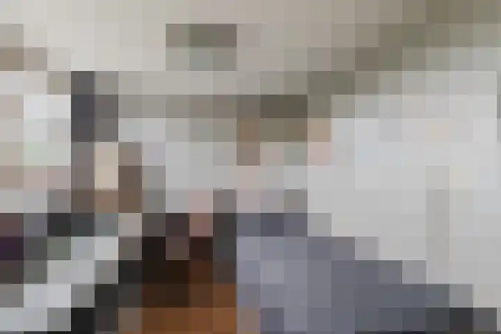 De Boeten 20 Hollandscheveld thumbnail 20