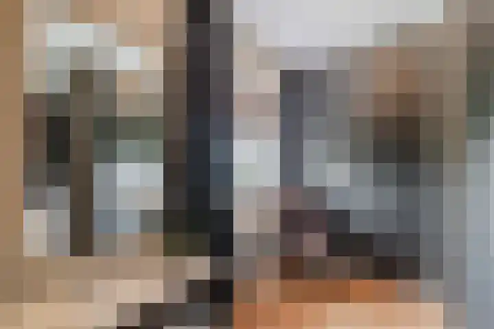 De Boeten 20 Hollandscheveld thumbnail 21