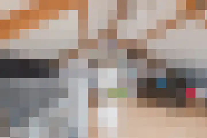 De Boeten 20 Hollandscheveld thumbnail 24