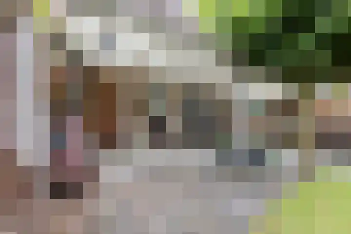 De Boeten 20 Hollandscheveld thumbnail 25