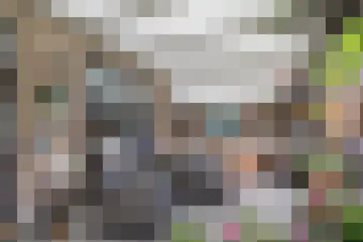 De Boeten 20 Hollandscheveld thumbnail 26