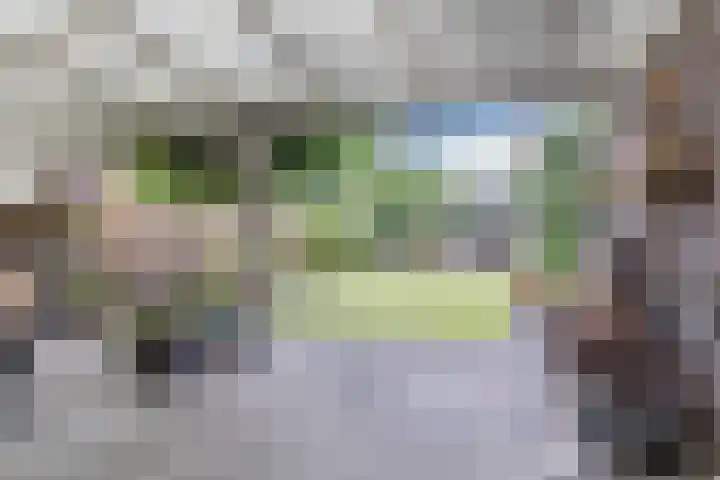 De Boeten 20 Hollandscheveld thumbnail 27