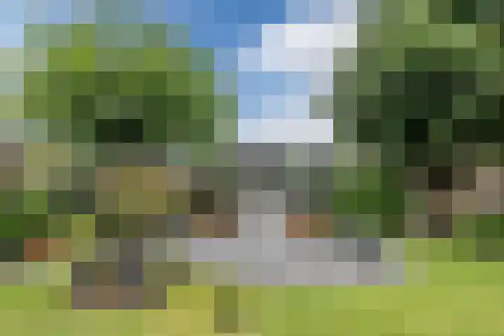 De Boeten 20 Hollandscheveld thumbnail 28