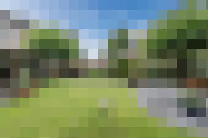 De Boeten 20 Hollandscheveld thumbnail 29