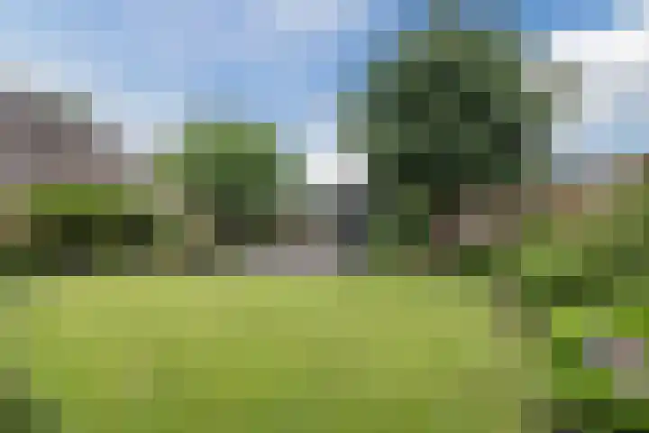 De Boeten 20 Hollandscheveld thumbnail 30