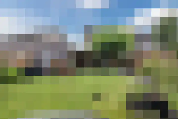 De Boeten 20 Hollandscheveld thumbnail 31