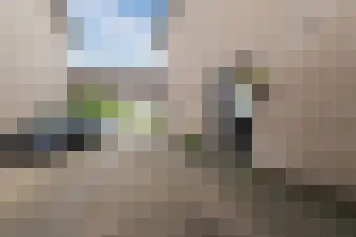 De Boeten 20 Hollandscheveld thumbnail 32