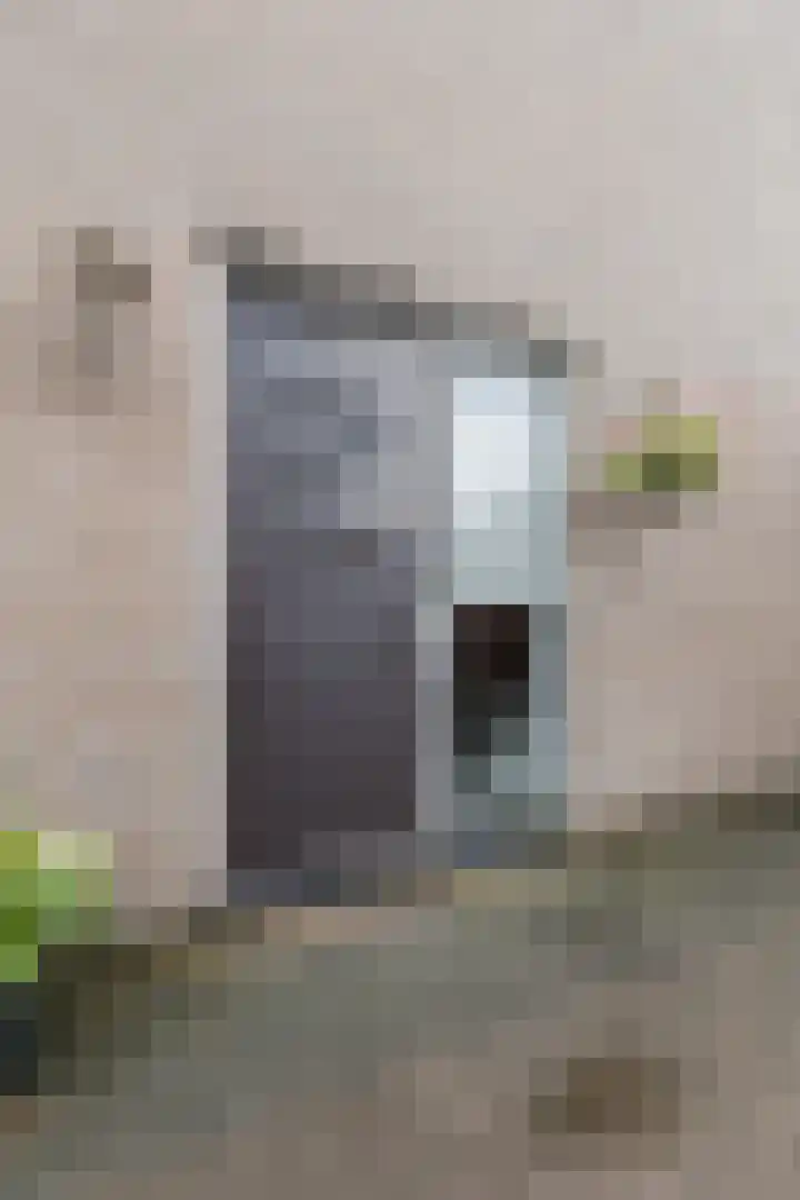 De Boeten 20 Hollandscheveld thumbnail 33